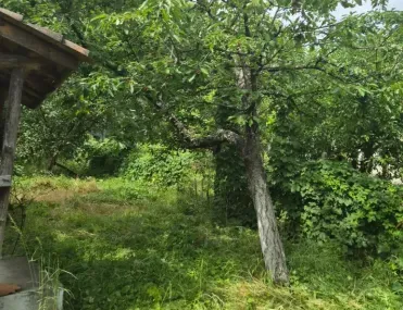 Вила, Кюстендил, Югозападна България - снимка 6 от 17