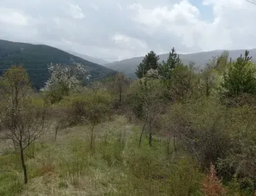 Вила, Кюстендил, Югозападна България - снимка 5 от 14