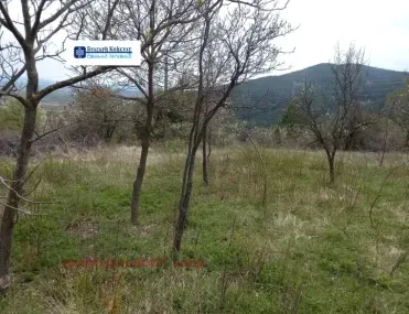 Вила, Кюстендил, Югозападна България - снимка 11 от 14