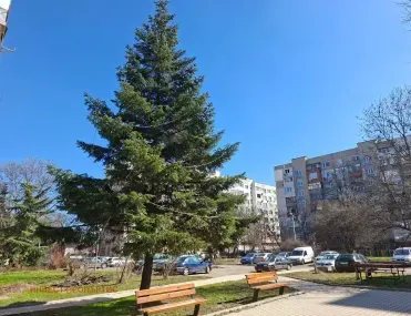 1-стаен, Фондови жилища, София - снимка 6 от 13