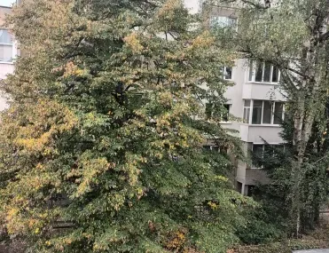 2-стаен, Борово, София - снимка 10 от 14