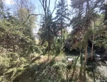Многостаен, Център, Велико Търново