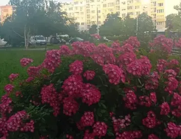 Многостаен, Люлин 4, София - снимка 4 от 18