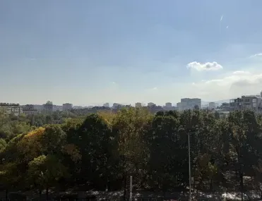 Многостаен, Борово, София - снимка 15 от 17