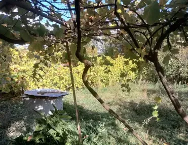 Етаж от къща, Кюстендил, Югозападна България - снимка 4 от 9