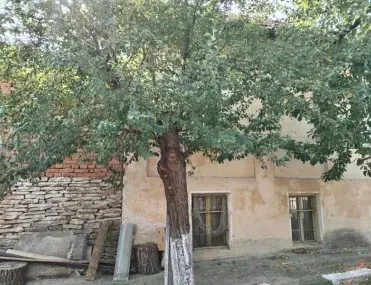 Къща, Плевен, Северозападна България - снимка 7 от 11