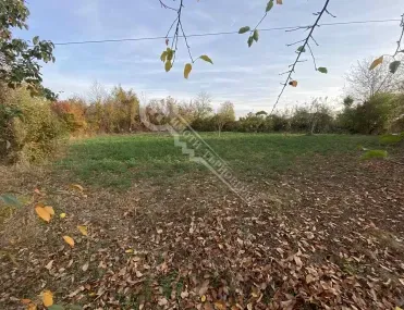 Къща, Полски Тръмбеш, Северна България - снимка 2 от 16