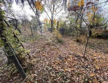Къща, Полски Тръмбеш, Северна България - снимка 12 от 16