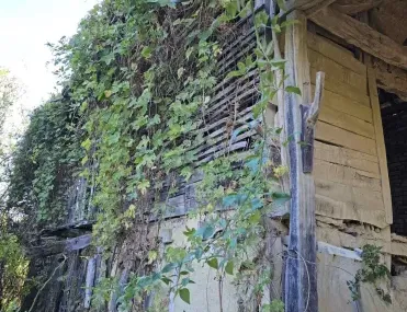 Къща, Ловеч, Северозападна България - снимка 10 от 18