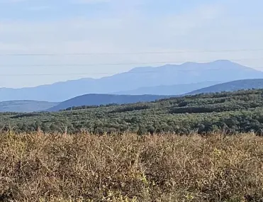 Къща, Ловеч, Северозападна България - снимка 3 от 18