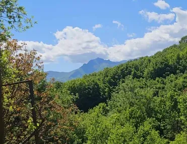 Къща, Априлци, Северозападна България - снимка 6 от 18