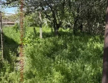 Къща, Плевен, Северозападна България - снимка 6 от 17