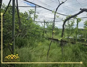 Къща, Павел Баня, Югоизточна България