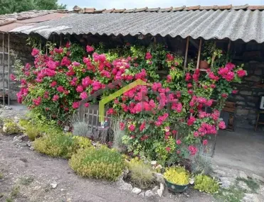 Къща, Покрайнини, Варна - снимка 6 от 18