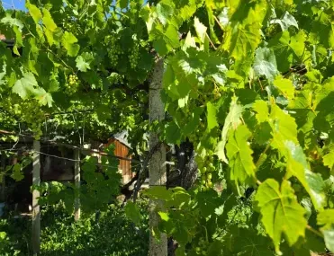 Къща, Ловеч, Северозападна България - снимка 11 от 13