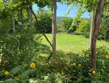 Къща, Чирпан, Югоизточна България - снимка 9 от 13