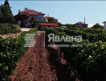 Къща, Покрайнини, Благоевград - снимка 9 от 10