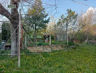 Къща, Търговище, Североизточна България - снимка 9 от 18