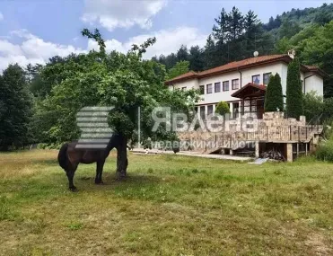 Къща, Пазарджик, Южна България - снимка 7 от 16