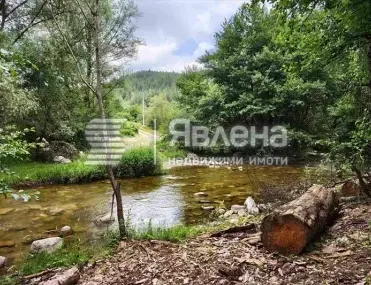 Къща, Пазарджик, Южна България - снимка 6 от 16