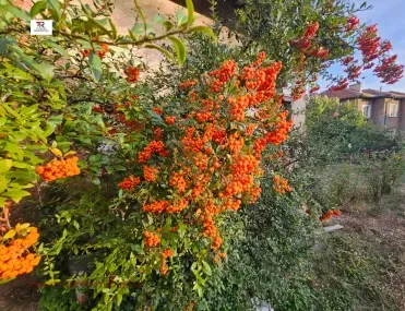 Къща, Перник, Югозападна България - снимка 8 от 11