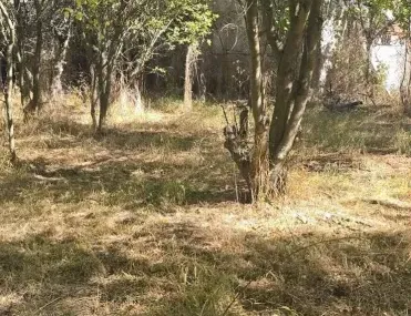 Къща, Перник, Югозападна България