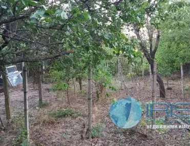 Вила, Шумен, Североизточна България