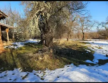 Вила, Ковачевци, Югозападна България - снимка 6 от 9