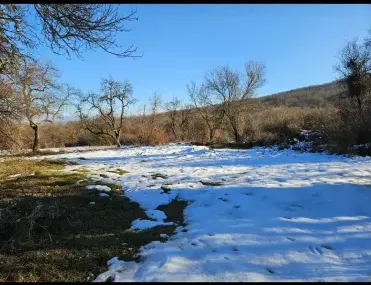 Вила, Ковачевци, Югозападна България - снимка 2 от 9