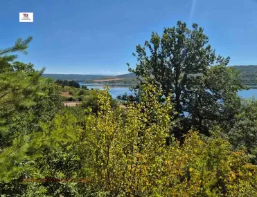 Вила, Ковачевци, Югозападна България - снимка 5 от 7