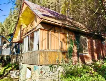 Вила, Покрайнини, Благоевград
