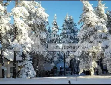 Вила, Перущица, Южна България - снимка 12 от 13