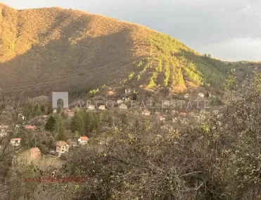 Вила, Своге, Югозападна България - снимка 4 от 14