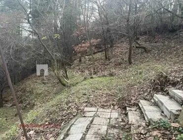 Вила, Своге, Югозападна България - снимка 3 от 14
