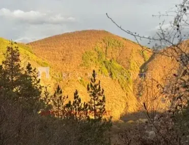 Вила, Своге, Югозападна България - снимка 10 от 14