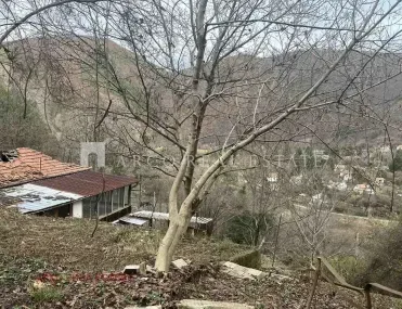 Вила, Своге, Югозападна България - снимка 7 от 14