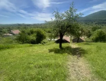 Вила, Търговище, Североизточна България