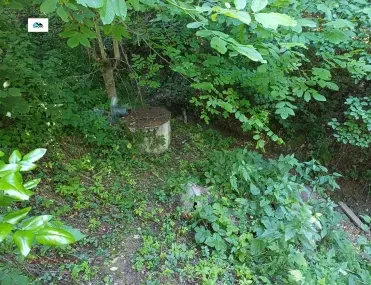 Вила, Враца, Северозападна България - снимка 4 от 8
