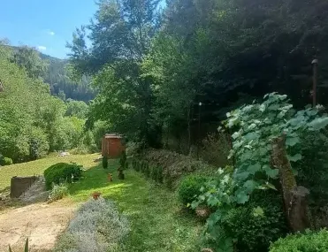 Вила, Перник, Югозападна България - снимка 6 от 16