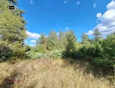 Вила, Самоков, Югозападна България - снимка 3 от 16