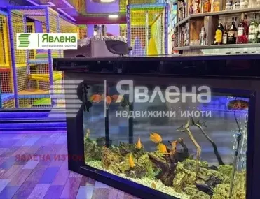 Удобство, Борово, София - снимка 4 от 8
