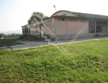 Други, Полски Тръмбеш, Северна България - снимка 2 от 10