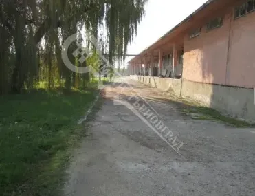 Други, Полски Тръмбеш, Северна България - снимка 3 от 10