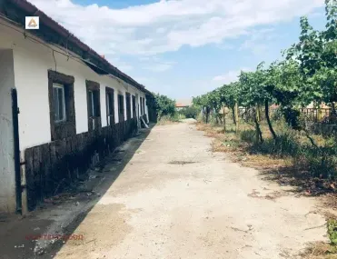 Други, Пазарджик, Южна България - снимка 6 от 9