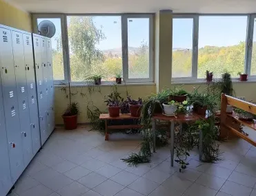 Други, Сливница, Югозападна България - снимка 2 от 12