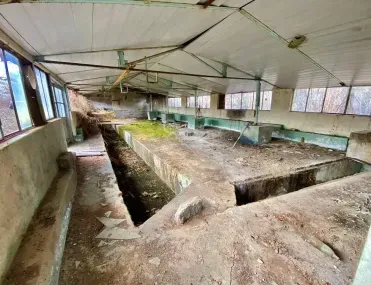 Други, Елена, Северна България - снимка 11 от 18