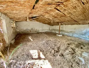 Други, Елена, Северна България - снимка 4 от 18