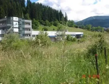 Парцел, Чепеларе, Южна България - снимка 5 от 6