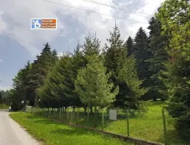 Парцел, Самоков, Югозападна България - снимка 8 от 9