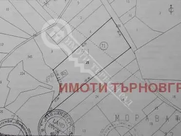 Парцел, Елена, Северна България - снимка 5 от 6